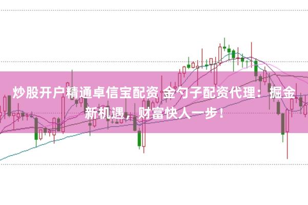 炒股开户精通卓信宝配资 金勺子配资代理：掘金新机遇，财富快人一步！
