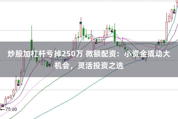 炒股加杠杆亏掉250万 微额配资：小资金撬动大机会，灵活投资之选