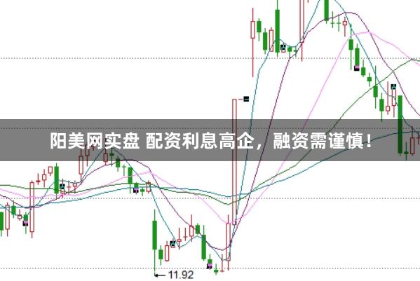阳美网实盘 配资利息高企，融资需谨慎！