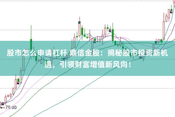 股市怎么申请杠杆 鼎信金股：揭秘股市投资新机遇，引领财富增值新风向！