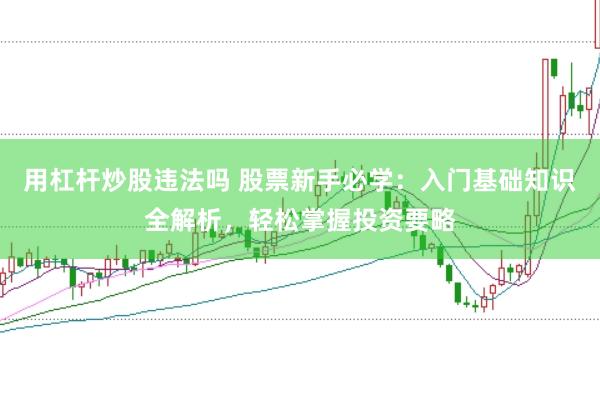 用杠杆炒股违法吗 股票新手必学：入门基础知识全解析，轻松掌握投资要略