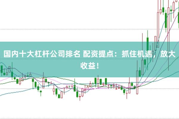 国内十大杠杆公司排名 配资提点：抓住机遇，放大收益！