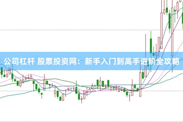 公司杠杆 股票投资网：新手入门到高手进阶全攻略
