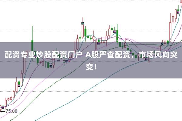 配资专业炒股配资门户 A股严查配资，市场风向突变！