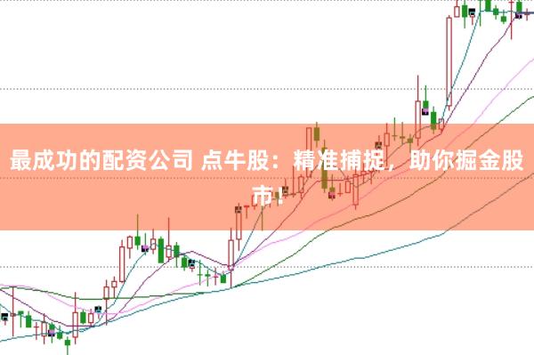 最成功的配资公司 点牛股：精准捕捉，助你掘金股市！