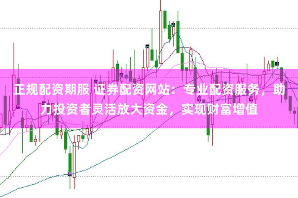 正规配资期服 证券配资网站：专业配资服务，助力投资者灵活放大资金，实现财富增值