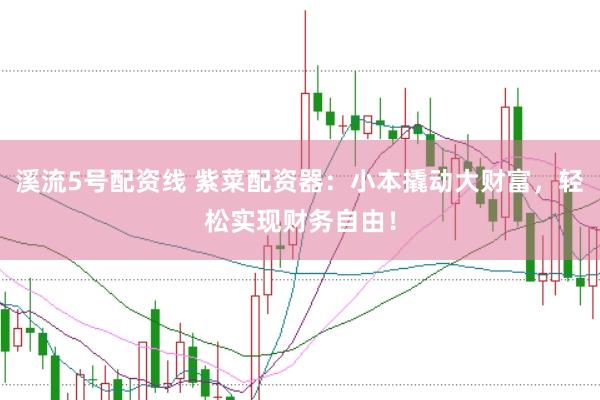 溪流5号配资线 紫菜配资器：小本撬动大财富，轻松实现财务自由！