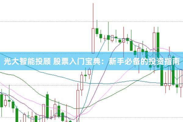 光大智能投顾 股票入门宝典：新手必备的投资指南