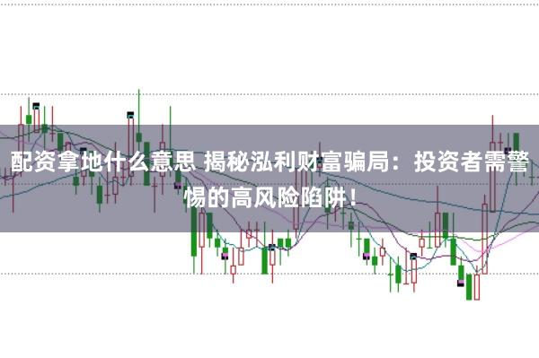 配资拿地什么意思 揭秘泓利财富骗局：投资者需警惕的高风险陷阱！