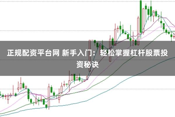 正规配资平台网 新手入门：轻松掌握杠杆股票投资秘诀