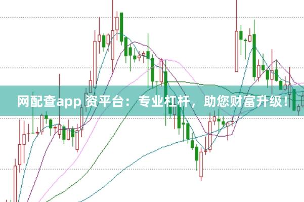 网配查app 资平台：专业杠杆，助您财富升级！