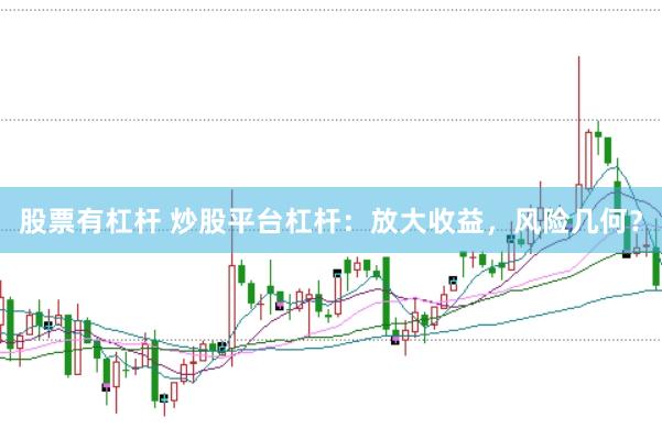 股票有杠杆 炒股平台杠杆：放大收益，风险几何？