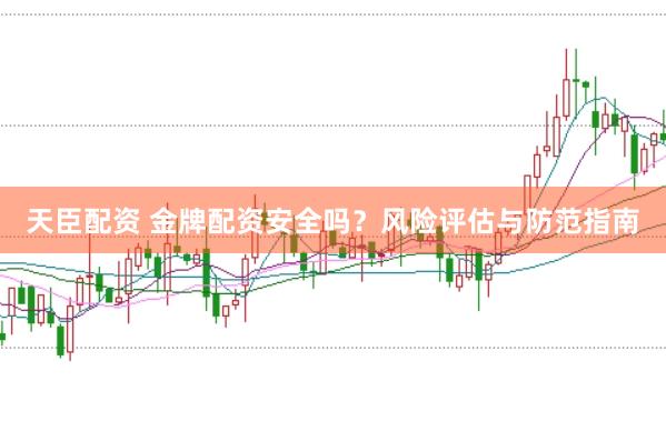 天臣配资 金牌配资安全吗？风险评估与防范指南