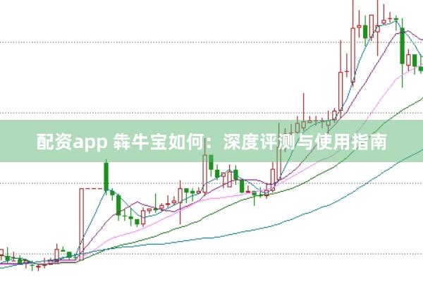 配资app 犇牛宝如何：深度评测与使用指南