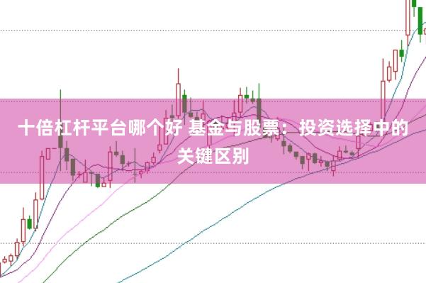 十倍杠杆平台哪个好 基金与股票:投资选择中的关键区别