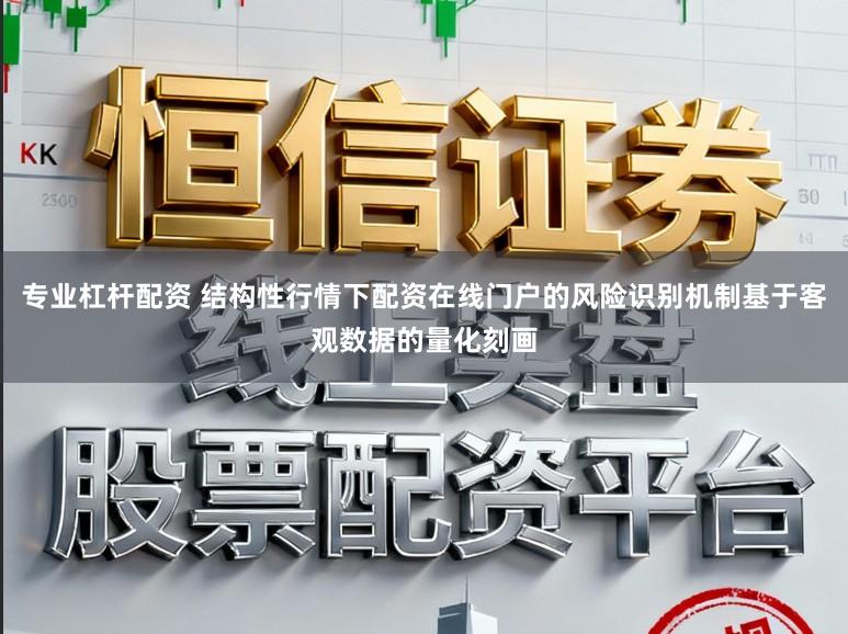 专业杠杆配资 结构性行情下配资在线门户的风险识别机制基于客观数据的量化刻画