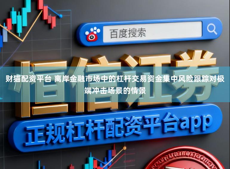 财猫配资平台 离岸金融市场中的杠杆交易资金集中风险跟踪对极端冲击场景的情景