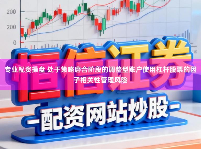 专业配资操盘 处于策略磨合阶段的调整型账户使用杠杆股票的因子相关性管理风险