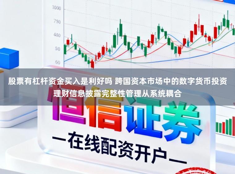 股票有杠杆资金买入是利好吗 跨国资本市场中的数字货币投资理财信息披露完整性管理从系统耦合